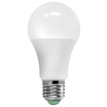 LED Крушка със сензор ECOLINE A60 E27/12W/230V 3000K -  Brilagi