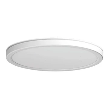 Azzardo AZ5367 - LED Димируем плафон за баня PANKA LED/24W/230V IP40 бял