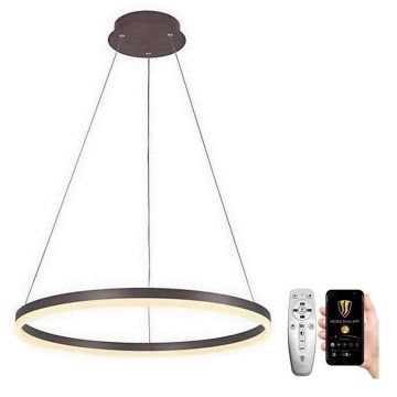 Brilagi - LED Димируем пендел CIRCLE LED/42W/230V 3000-6500K кафяв + дистанционно управление