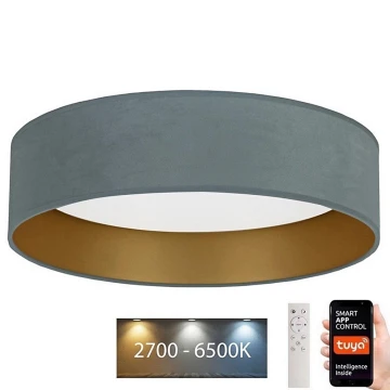 Brilagi - LED Димируем плафон VELVET SMART LED/24W/230V Ø 45 см 2700-6500K Wi-Fi Tuya ментова/златиста + дистанционно