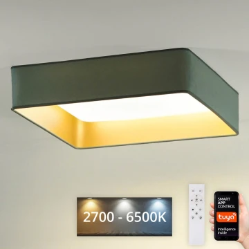 Brilagi - LED Димируем плафон VELVET SQUARE SMART LED/36W/230V 2700-6500K Wi-Fi Tuya + дистанционно управление мента