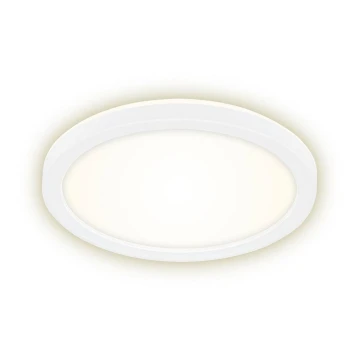 Briloner 7150-416 - LED Лампа SLIM LED/12W/230V Ø 19 cм