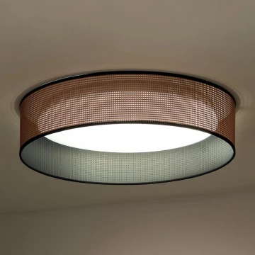 Duolla - LED Плафониера ROLLER LED/24W/230V меден/черен