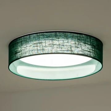 Duolla - LED Плафониера ROLLER LED/24W/230V зелен