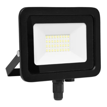 Ecolite RLED48WL-30W - LED Прожектор STAR LED/30W/230V IP65