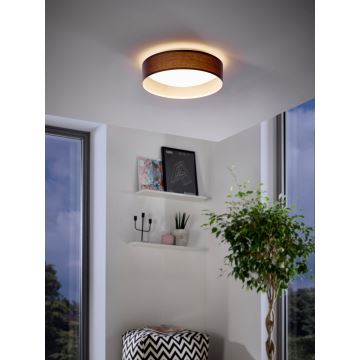 Eglo - LED Лампа за таван LED/11W/230V