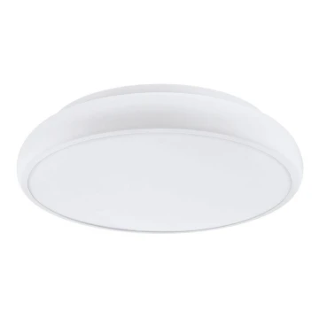 Eglo 98045 - LED Димируема лампа RIODEVA-C LED/27W/230V