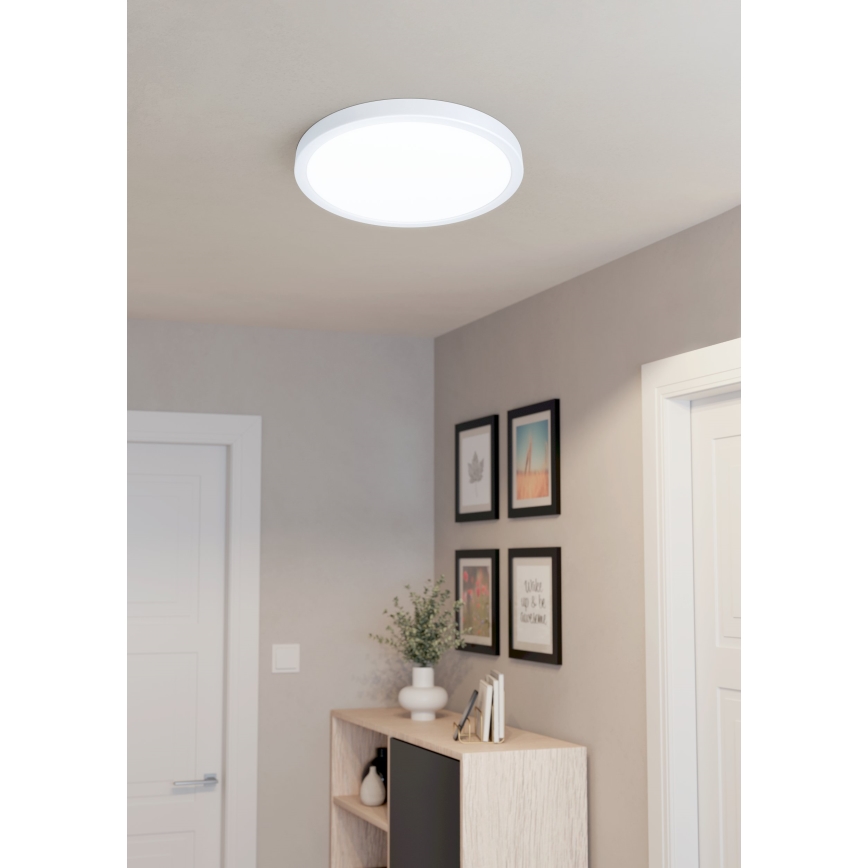 Eglo - LED Лампа за таван LED/20W/230V