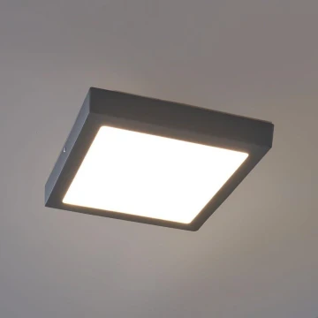 Eglo - LED Екстериорна Лампа за таван LED/22W IP44