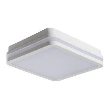 Екстериорна LED лампа със сензор BENO LED/24W/230V 4000K бяла IP54