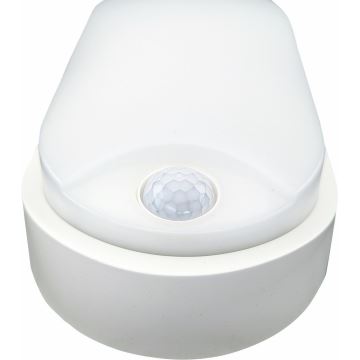 Екстериорна LED лампа за таван със сензор LED/14W/230V IP54 бял