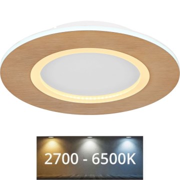 Globo - LED Плафониера LED/23W/230V 2700/6500K