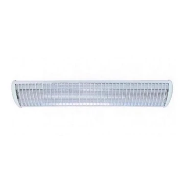 HiLite - LED Флуоресцентна лампа BARCELONA 2xLED/12W/230V