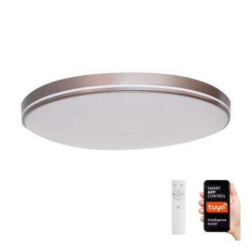 Immax NEO 07150-C40 - LED Димируема лампа NEO LITE AREAS LED/24W/230V Tuya Wi-Fi кафява + дистанционно