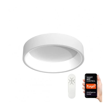 Immax NEO - LED Димируема лампа AGUJERO LED/30W/230V + дистанционно Tuya