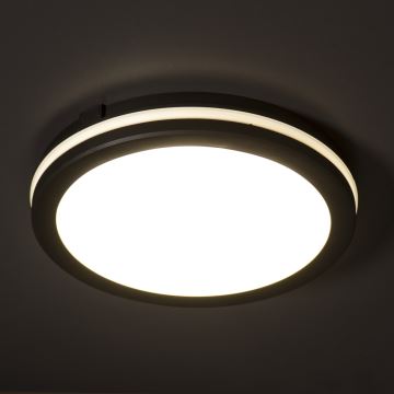 Екстериорна LED лампа за таван BENO ECO LED/12W/230V 3000/4000/6500K Ø 20 см IP65 черен