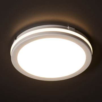 Екстериорна LED лампа за таван BENO ECO LED/30W/230V 3000/4000/6500K Ø 30 см IP65 бял