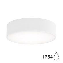 Лампа за баня със сензор CLEO 2xE27/24W/230V Ø 30 см бяла IP54