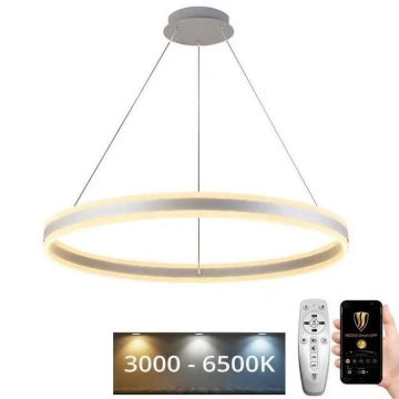 LED Димируем пендел LED/110W/230V 3000-6500K + дистанционно управление