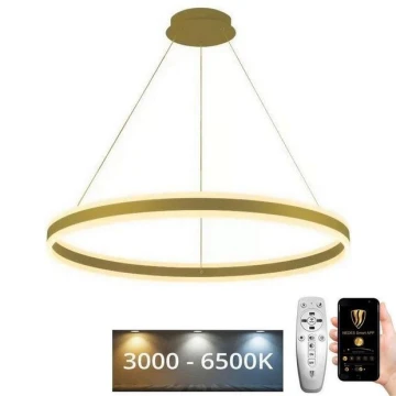 LED Димируем пендел LED/110W/230V 3000-6500K + дистанционно управление