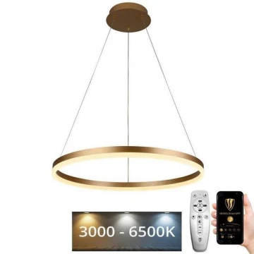 LED Димируем пендел LED/42W/230V 3000-6500K + дистанционно управление