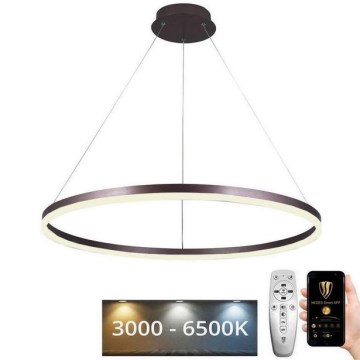 LED Димируем пендел LED/55W/230V 3000-6500K + дистанционно