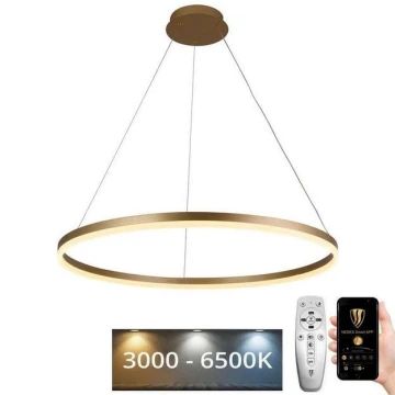 LED Димируем пендел LED/55W/230V 3000-6500K + дистанционно управление