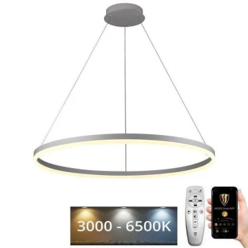 LED Димируем пендел LED/55W/230V 3000-6500K + дистанционно управление