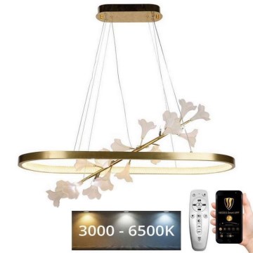 LED Димируем пендел LED/55W/230V 3000-6500K + дистанционно управление