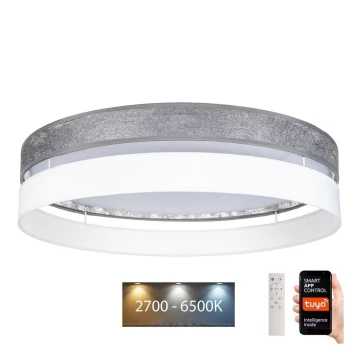 LED Димируем плафон LIMA LED/36W/230V 2700-6500K Wi-Fi Tuya + дистанционно сребрист/бял