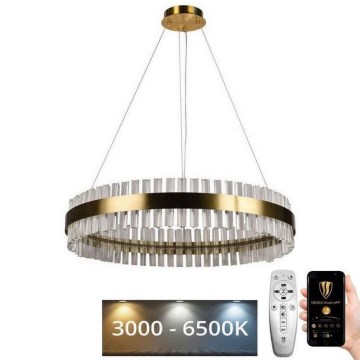 LED Димируем кристален полилей на връв LED/55W/230V 3000-6500K + дистанционно управление