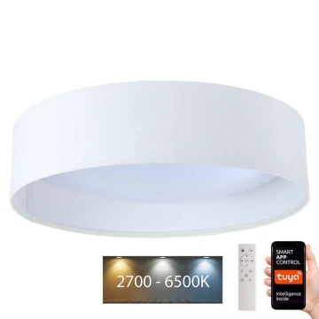 LED Димируема лампа SMART GALAXY LED/36W/230V Ø 55 см Wi-Fi Tuya + дистанционно управление