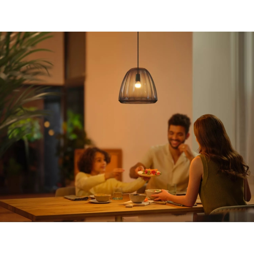 LED Димируема крушка Philips Hue WHITE AMBIANCE P45 E14/5,1W/230V 2200-6500K