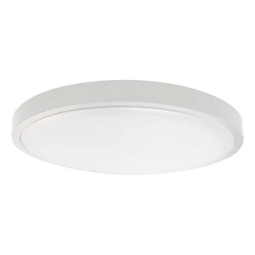 LED Екстериорен плафон със сензор LED/30W/230V 4000K IP44 бял