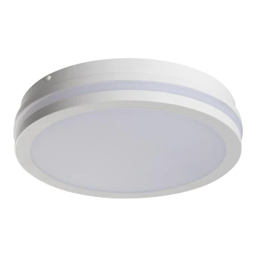 LED Екстериорна лампа BENO LED/24W/230V 4000K бяла IP54