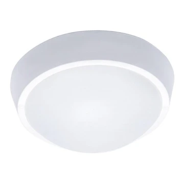 LED Екстериорна Стенна лампа 1xLED/18W/230V  IP65