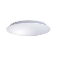 LED Лампа за баня AVESTA LED/18W/230V 4000K IP54