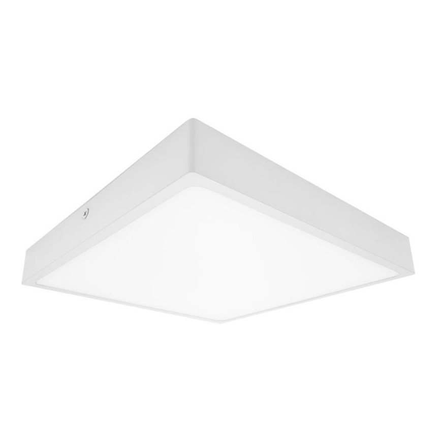 LED Лампа за баня EGON LED/30W/230V IP44 4000K