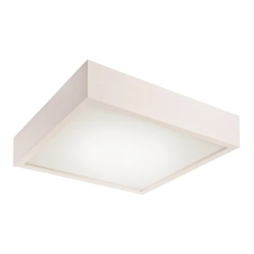 LED Лампа за таван 1xLED/24W/230V