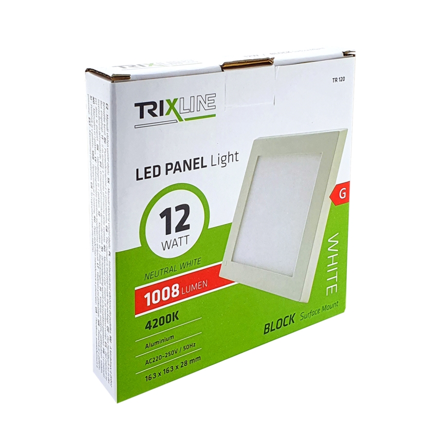 LED Лампа за таван LED/12W/230V 4200K
