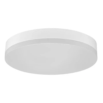 LED Лампа за таван за баня LED/12W/230V IP44