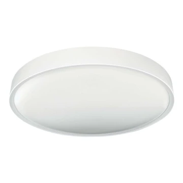 LED Плафон SAMER LED/24W/230V 4000K