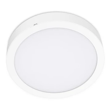 LED Плафон SIGARO CIRCLE LED/18W/230V 4000K IP40