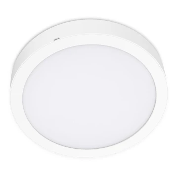 LED Плафон SIGARO CIRCLE LED/24W/230V 4000K IP40