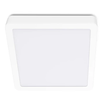 LED Плафон SIGARO SQUARE LED/18W/230V 4000K IP40