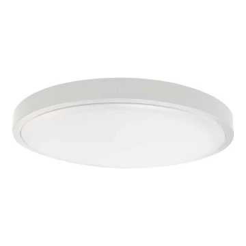 LED Плафон за баня LED/24W/230V 3000K IP44 бял