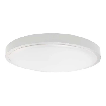 LED Плафон за баня LED/24W/230V 4000K IP44 бял