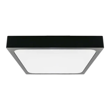 LED Плафон за баня LED/24W/230V 6500K IP44 черен