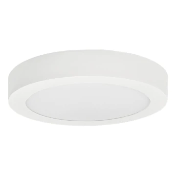 LED Плафониера FENIX LED/12W/230V 3800K Ø 17 см снежнобял