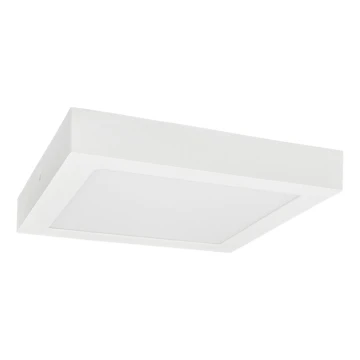 LED Плафониера FENIX LED/24W/230V 3800K 29,8 см снежнобял